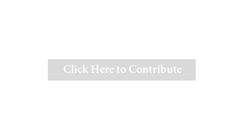 https://politics.raisethemoney.com/en/kritter